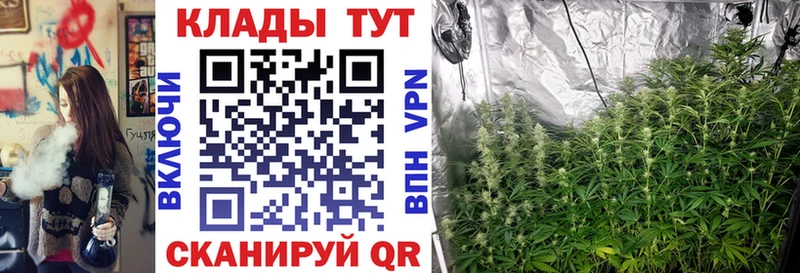 Цена Злынка A-PVP  КОКАИН 