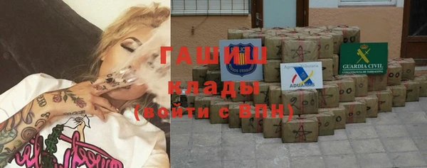 гашик Алексеевка