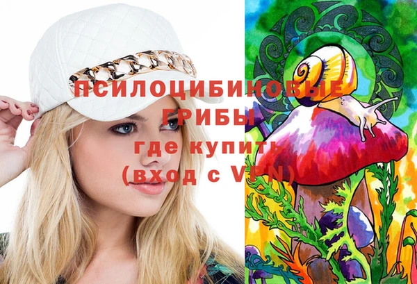 гашик Алексеевка